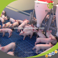 Vente chaude Chaude Galvanzied Tuyau Équipement D&#39;élevage De Porc Weaner Pening